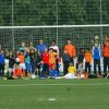 2013-minikamp