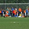 2013-minikamp