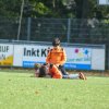 2013-minikamp