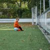 2013-minikamp
